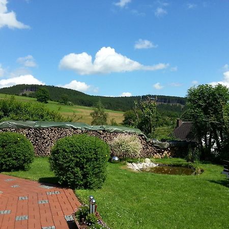 Ferienwohnungen Luge - Winterberg Exteriör bild