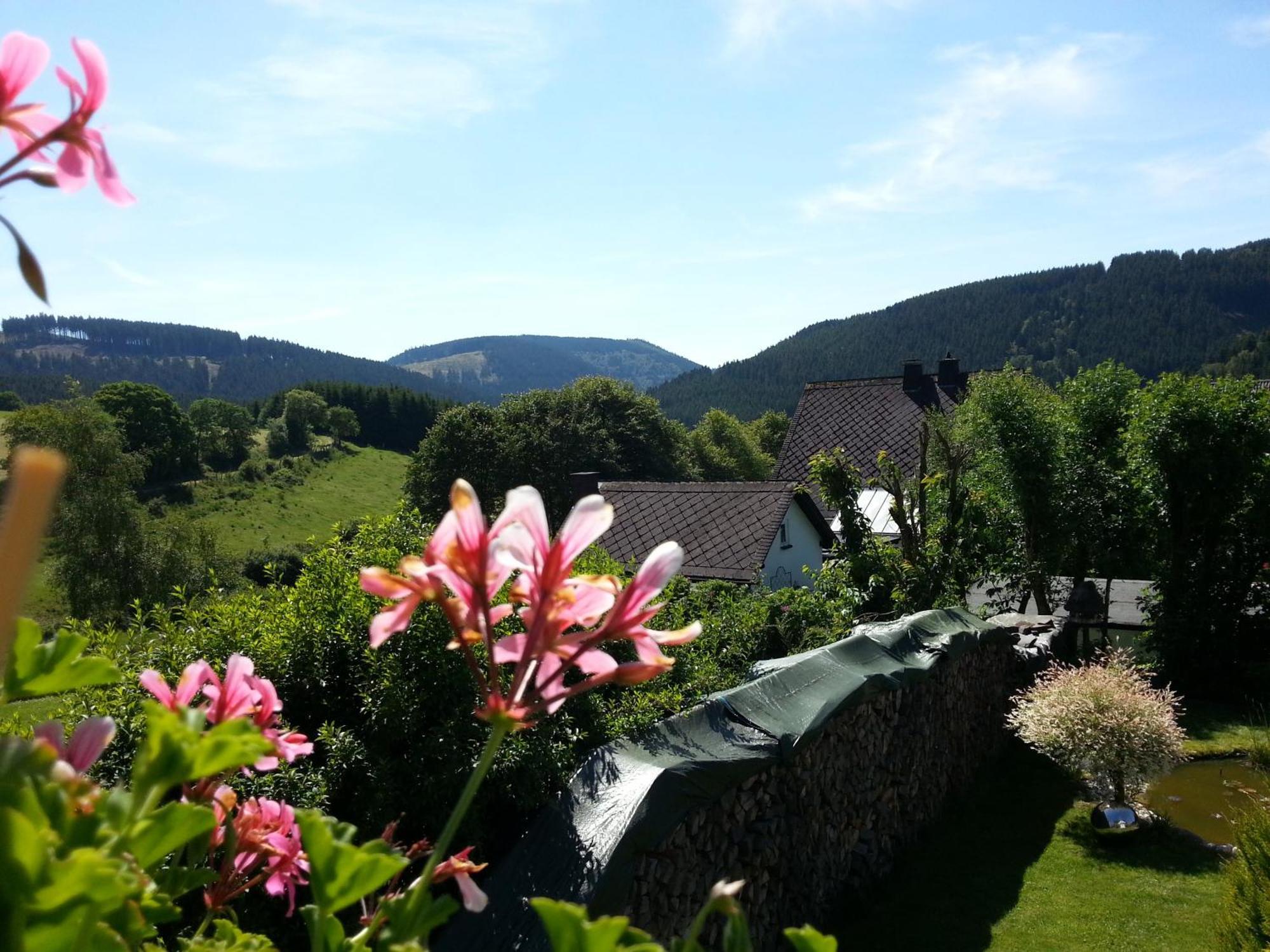 Ferienwohnungen Luge - Winterberg Rum bild