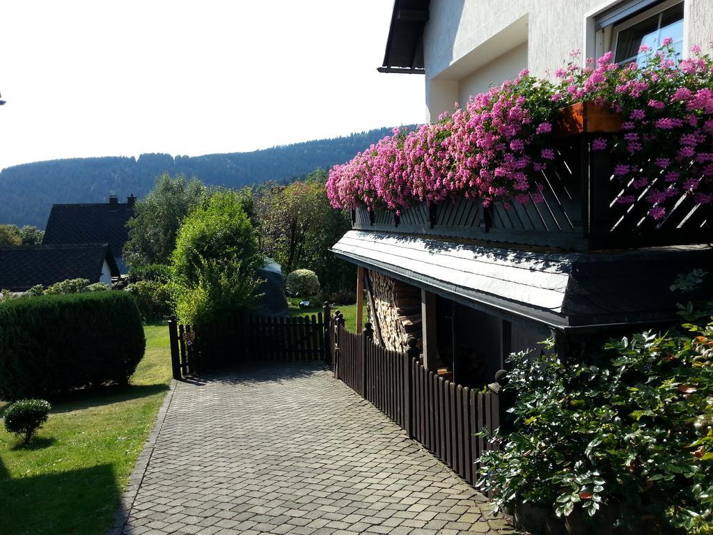 Ferienwohnungen Luge - Winterberg Exteriör bild