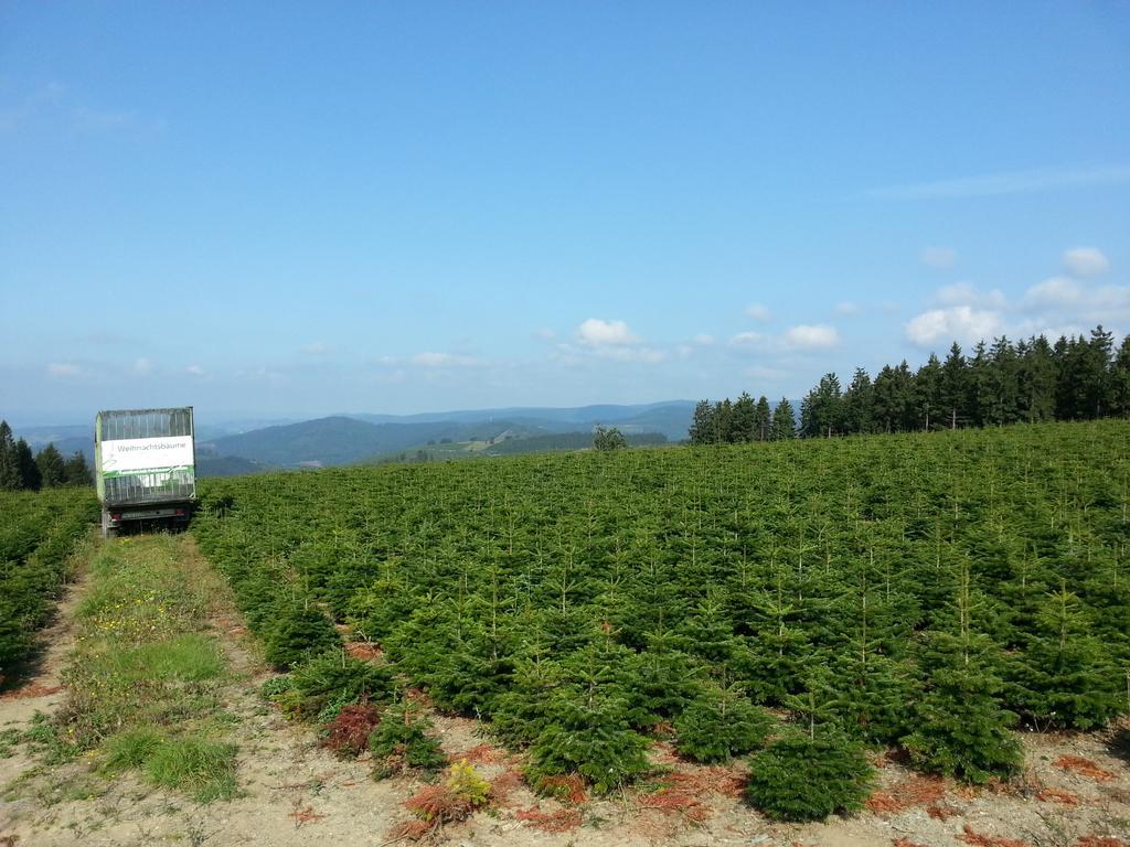 Ferienwohnungen Luge - Winterberg Exteriör bild