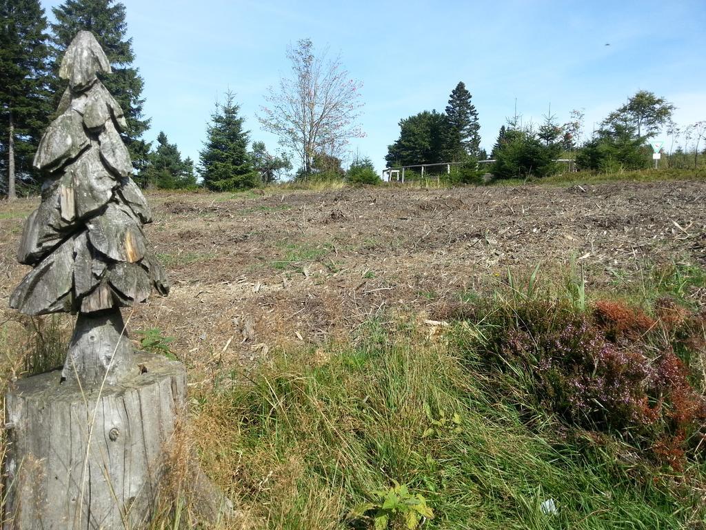Ferienwohnungen Luge - Winterberg Exteriör bild