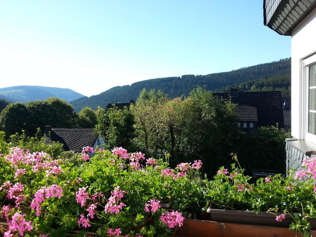 Ferienwohnungen Luge - Winterberg Exteriör bild