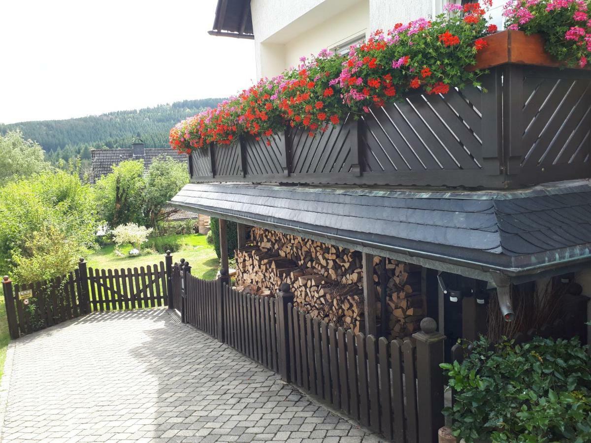 Ferienwohnungen Luge - Winterberg Exteriör bild