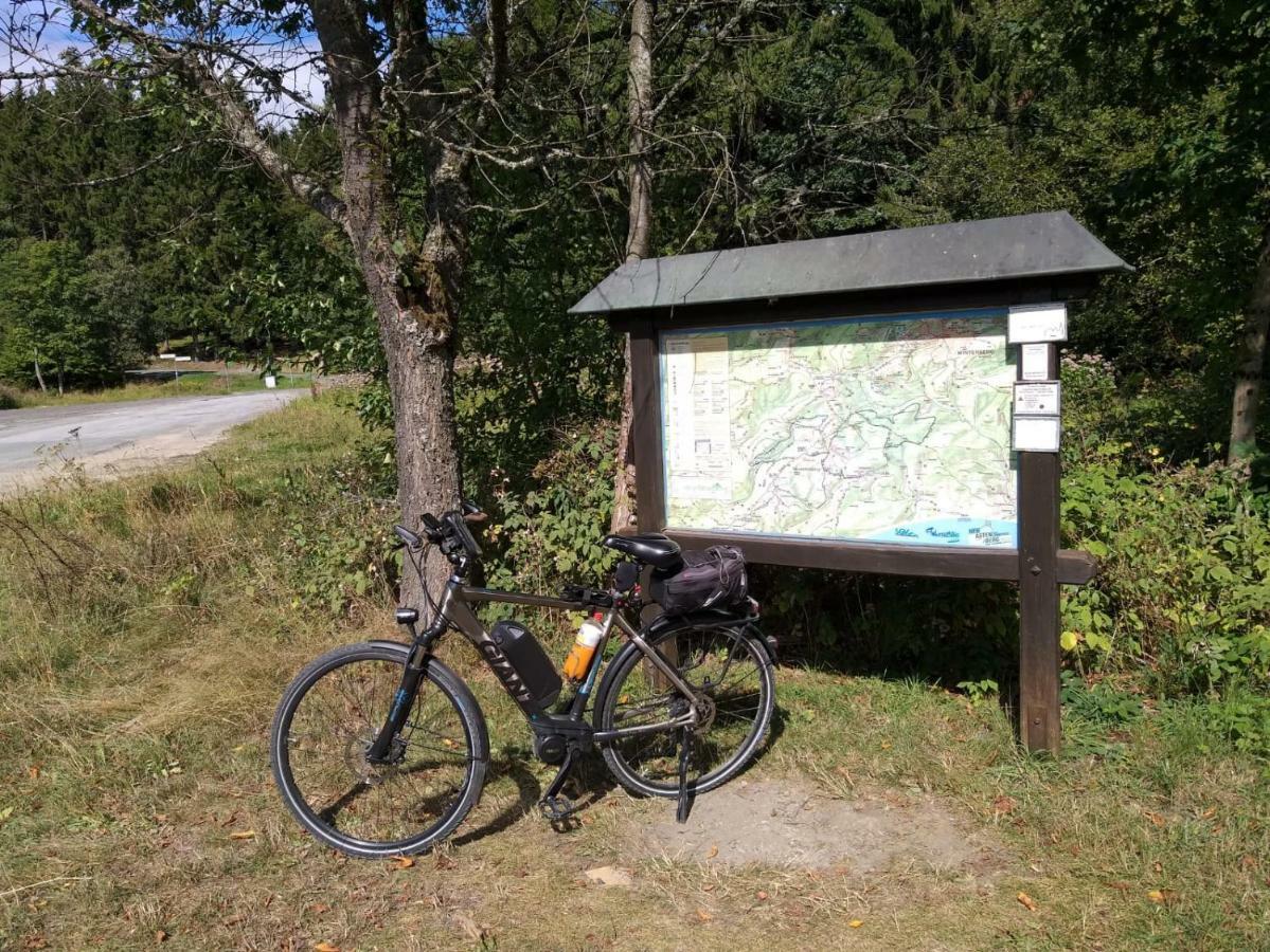 Ferienwohnungen Luge - Winterberg Exteriör bild