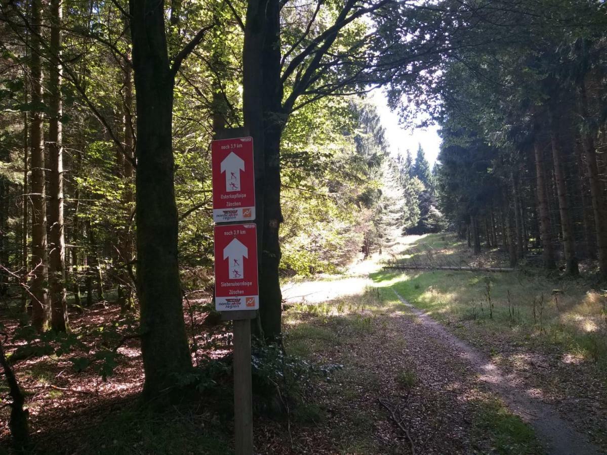 Ferienwohnungen Luge - Winterberg Exteriör bild