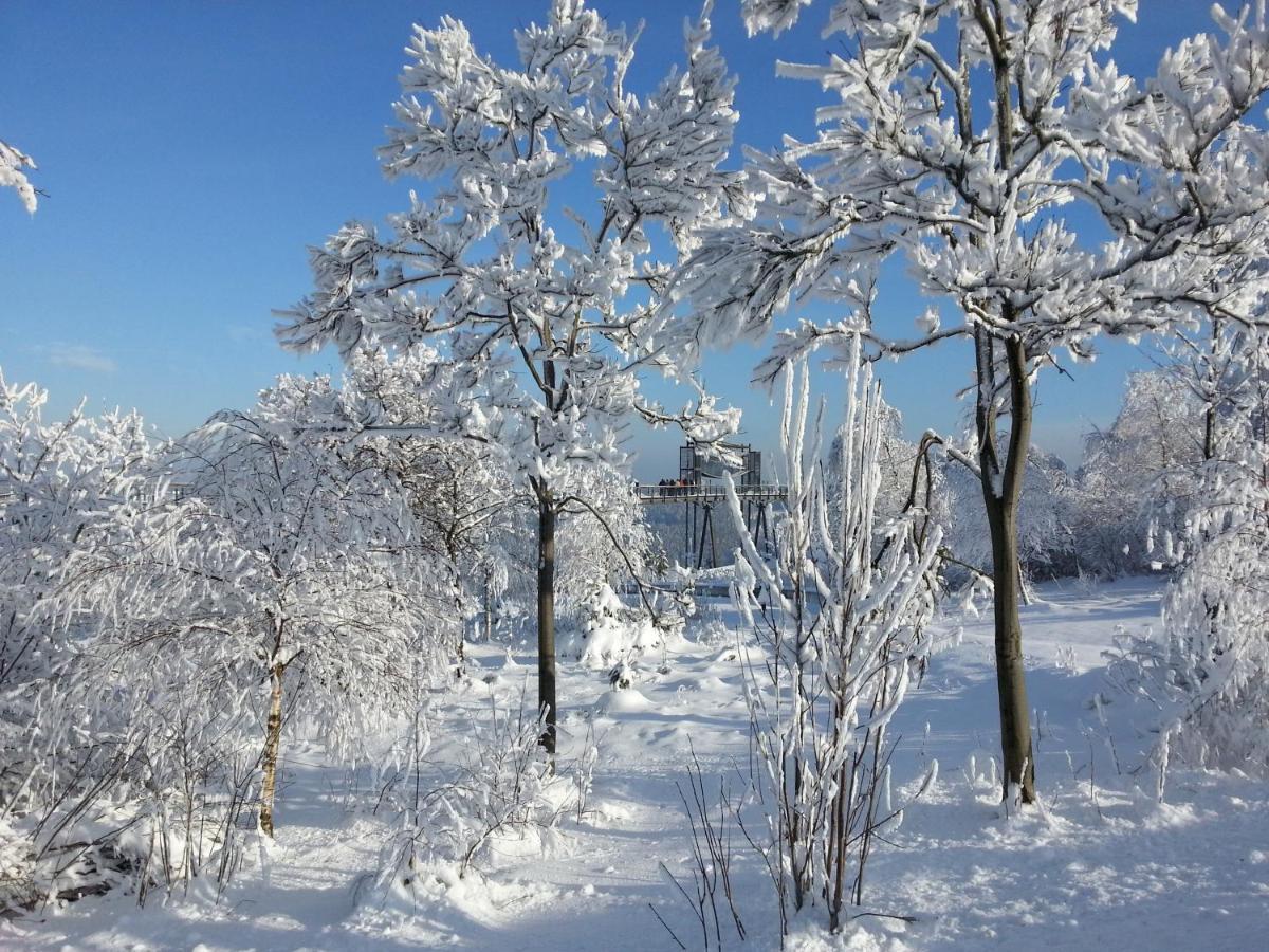 Ferienwohnungen Luge - Winterberg Rum bild