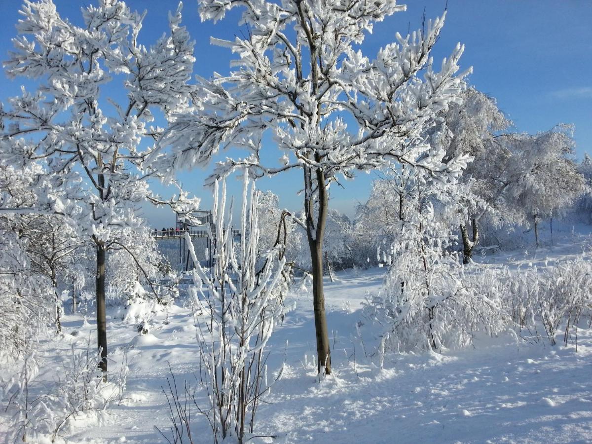 Ferienwohnungen Luge - Winterberg Rum bild